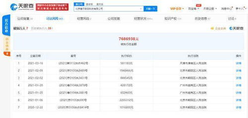 錘子科技關(guān)聯(lián)公司再成被執(zhí)行人，面臨58萬執(zhí)行標的